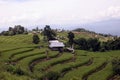 Rice cultivation pattern on high mountain, rice terrace