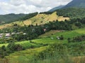 Rice cultivation pattern on high mountain, rice terrace