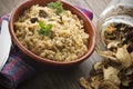 Rice and dried porcini mushrooms Royalty Free Stock Photo