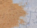 Rice is dried in the yard on cement that is starting to crack. Royalty Free Stock Photo