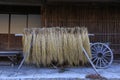 Rice drying in front of a house Royalty Free Stock Photo