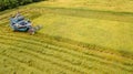 Rice farm on harvesting season by farmer with combine harvesters