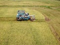 Rice farm on harvesting season by farmer with combine harvesters