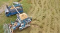 Rice farm on harvesting season by farmer with combine harvesters