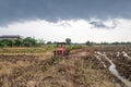 Rice farm during harvesting in Thailand Royalty Free Stock Photo