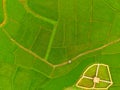 Rice farm Map, Bird Eye View