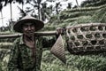 Rice Farmer Bali - Indonesia