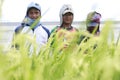 Rice Farmers