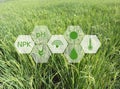 Smart farming argriculture concept , icons on rice field Royalty Free Stock Photo