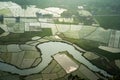 Rice field in Bac Son valley in Vietnam Royalty Free Stock Photo