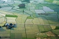 Rice field in Bac Son valley in Vietnam Royalty Free Stock Photo