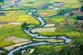 The rice field in BacSon - Vietnam