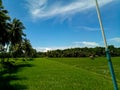 Rice field at Badian Cebu, Philippines