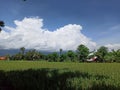 Rice field and clouds