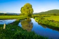 Rice Field in Coming of Rainy Season