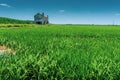Rice field in Coruche; Ribatejo; Portugal. Royalty Free Stock Photo