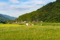 Rice field and farm in Japan countryside