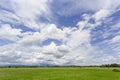The Rice field green grass blue sky cloud cloudy landscape background Royalty Free Stock Photo