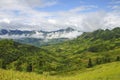 Rice field in Ha Giang Royalty Free Stock Photo