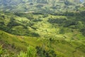 Rice field in Ha Giang Royalty Free Stock Photo