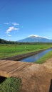 rice field irrigation with telomoyo mountain view Royalty Free Stock Photo