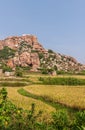 Rice field landscape in front of rocky boulder hill, Hunumanahalli, Karnataka, India
