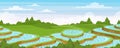 Rice field landscape vector illustration, cartoon flat rural farmland scenery with green paddy rice terraces with water Royalty Free Stock Photo