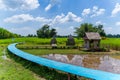 rice field with meadow and wooden bridge Royalty Free Stock Photo
