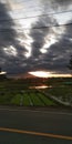 a rice field, morning sun, mountains, landscape, begron, countryside, village, agriculture, the afternoon Royalty Free Stock Photo