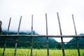 Rice field, mountain and bamboo wall in foggy day Royalty Free Stock Photo