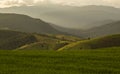 Rice field in north of Thailand