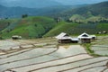 Rice field at Pa Bong Piang village in Mae Cham , Chiangmai, Thailand.