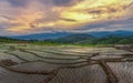 Rice field at Pa Bong Piang village in Mae Cham , Chiangmai, Thailand.