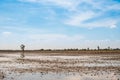 Rice field in preparation progress