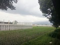 Rice field beside a project site and excavator