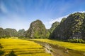 Rice field and river in TamCoc, NinhBinh, Vietnam Royalty Free Stock Photo