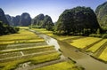 Rice field and river in TamCoc, NinhBinh, Vietnam Royalty Free Stock Photo