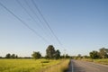 Rice field and road. Royalty Free Stock Photo