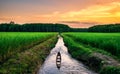 Rice field rural with old boat in colorful of cloud sky sunset and sunlight in twilight Royalty Free Stock Photo