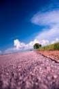 Rice Field Series 9 Royalty Free Stock Photo