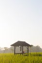Rice Field Shack 4 Royalty Free Stock Photo