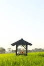 Rice Field Shack 5 Royalty Free Stock Photo