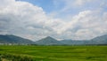 Rice field in Northern Vietnam Royalty Free Stock Photo