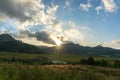 The rice field and the sunset