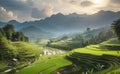 Rice field terrace with beautiful mountain background