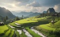 Rice field terrace with beautiful mountain background