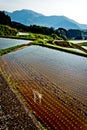 Rice field terrace in Kyushu Japan