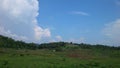 Rice field, rice terrace, tropical plant and blue Sky