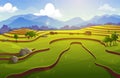 Rice field terraces, asian paddy with farm houses Royalty Free Stock Photo