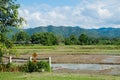 Rice field terraces in doi inthanon, Ban Mae Aeb Chiangmai